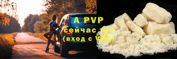 ALPHA PVP Инта
